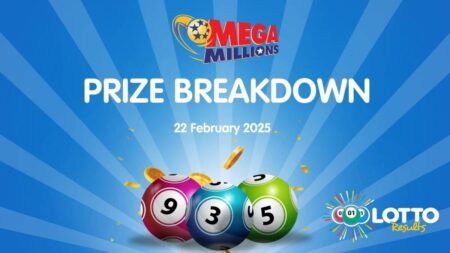 Mega Millions results for 11 February 2025 are here. Check your numbers and claim your prize!